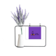 thumbnail image 1 of Sólo naranjas con berenjena gracioso dibujo Tarjeta de jarrón de lavanda artificial, 1 of 3