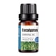 thumbnail image 1 of Aceites esenciales Elementos esenciales para el hogar Aceite De Aromaterapia Natural 10ml Aroma Unilateral(Buy 2 Save 10%), 1 of 2