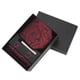 thumbnail image 1 of Corbata para hombre Juego de corbatas para hombre de 5 piezas Corbatas para hombre Conjunto de corbata para hombre Rendimiento inigualable Jadeshay  A, 1 of 8