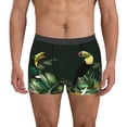 thumbnail image 2 of KLL Palm Leaves And Exotic Birds Men's Cotton Boxer Briefs Underwear-X-Large, 2 of 7