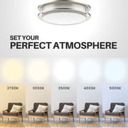 DYMOND 10 LED Ceiling Light Flush Mount Adjustable Color Temperature Dimmable Brushed Nickel Double Ring