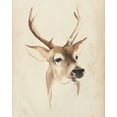 thumbnail image 2 of Popp, Grace 26x32 White Modern Wood Framed Museum Art Print Titled - Watercolor Animal Study IV, 2 of 4