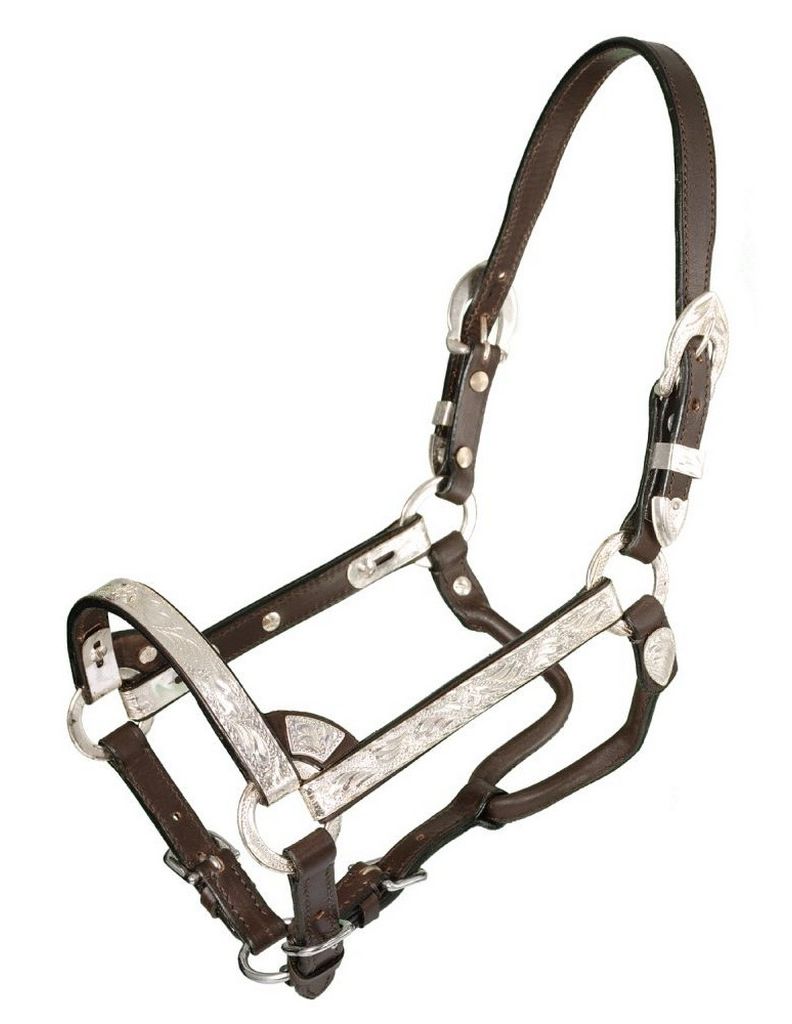Royal King Congress Show Halter Royal King Congress Show Halter
