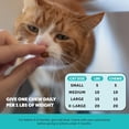 thumbnail image 4 of Pet Honesty Cat Calming Chews, Dual Texture Supplement for Anxiety Relief Stress & Behavioral Support Promotes Relaxation, Chicken Flavor, 3.7 oz, 4 of 8
