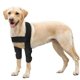 thumbnail image 1 of Protectores de codo transpirables para perros, almohadillas para el codo y el hombro caninos, higroma de codo, displasia, osteoartritis, callos en el codo, 1 of 3