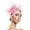 Pink, variant on Clearance Heardband Hats for Women Fascinators Womens Flower Hat for Tea Party Cocktail Ball Wedding Church