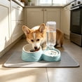 thumbnail image 5 of Qholemyo 2 In 1 Integrated Pet Bowl Pet Food Bowl Food Water Feeding Bowl For Daily Feeding Cats And Dogs, 5 of 6