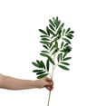 thumbnail image 6 of Luoshdecor Artificial Greenery Stems,20" Green Leaf Branches Faux Pick for Vase Filler Home Office Table Decor (Olive Leaves), 6 of 6