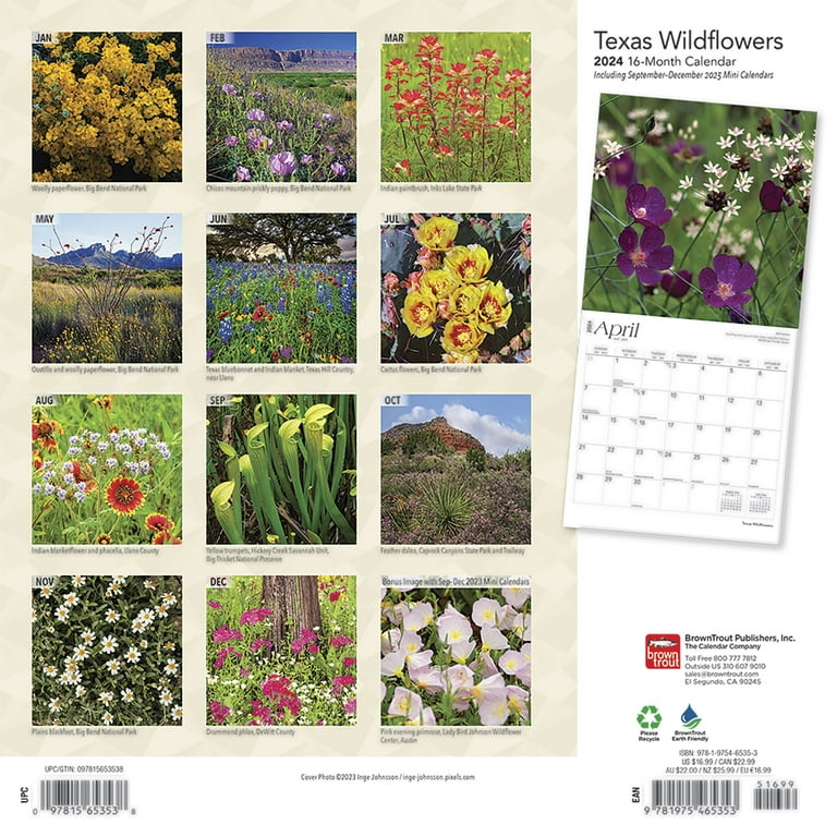 Texas Wildflowers 2024 Wall Calendar 12x12 by Browntrout - Walmart.com
