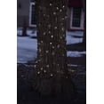 thumbnail image 2 of Northlight Net Style LED Tree Trunk Wrap Christmas Lights - 2' x 8' - Pure White - Brown Wire, 2 of 2