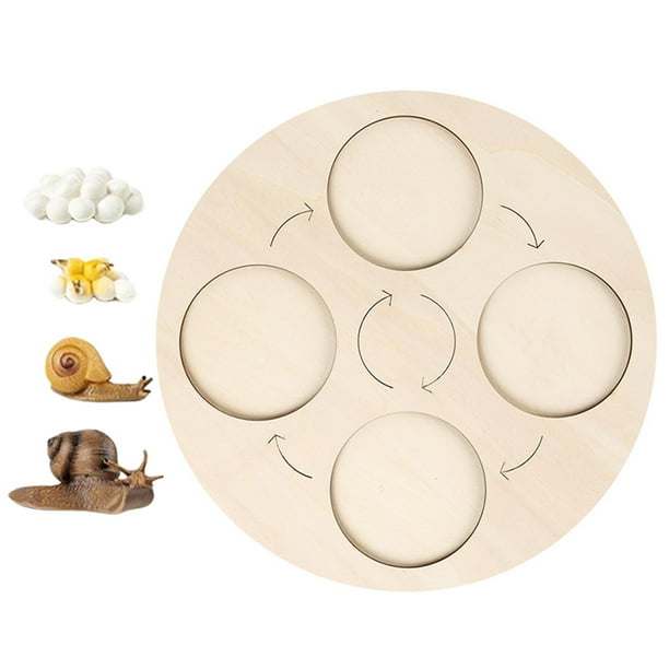 Tablero de ciclo de vida, juguete para niños, juguetes educativos tempranos, material didáctico de naturaleza para Navidad. Caracoles