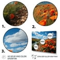 thumbnail image 3 of Designart "Spain landscapes Of Poppies" Farmhouse Wall Art Print, 3 of 5