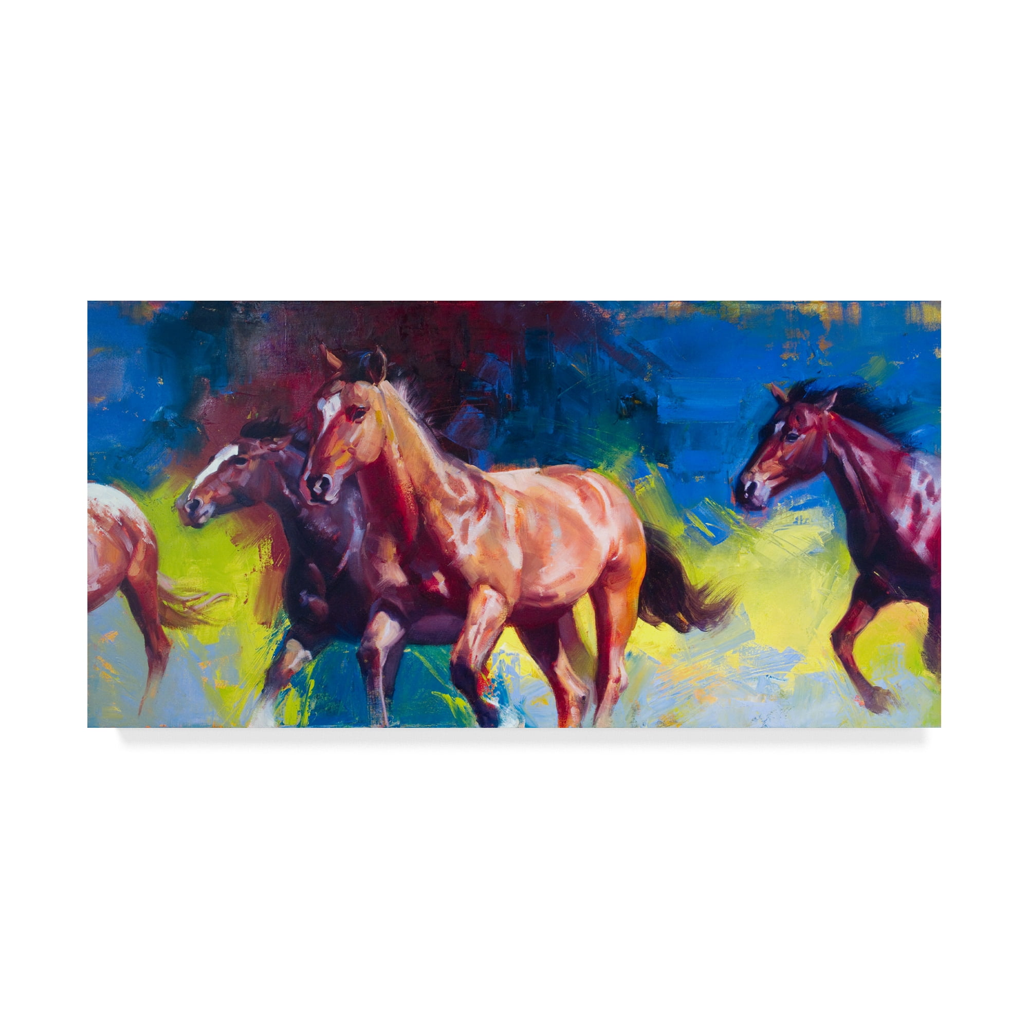 Trademark Fine Art 'Horse Running Wild' Canvas Art by Julie T. Chapman