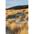 thumbnail image 3 of Frates, Dennis 17x24 Black Modern Framed Museum Art Print Titled - Dune Grass and Beach III, 3 of 5