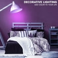 thumbnail image 2 of Luxrite A19 Edison LED Light Bulb, 4.5W=60W Colored Glass Filament, UL Listed, E26 Base, Indoor Outdoor Purple, 2 of 6