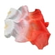 thumbnail image 1 of Abanicos de velo de seda para danza del vientre, abanicos plegables largos para mujeres y niñas, accesorios de vestuario blanco a rojo, 1 of 7