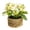 White, variant on Tiezhimi Rattan Flower Potted Plant (with Pot) Multi Color Desktop Flower Ornament, Artificial Outdoor Plants for Home Indoor Farmhouse Table Wedding Centerpiece Decor