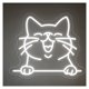 thumbnail image 1 of Letrero De Neón LED Con Forma Gato, Ideal Para Decorar La Pared Tu Habitación, El Hogar, Tiendas Mascotas, Salas Juegos, Bares 45cm, 1 of 3