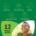 ZyrtecD 12 Hour Allergy Relief & Nasal Decongestant Tablets, 12 Ct