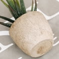 thumbnail image 6 of Travelwant Artificial Succulent Plants, Fake Plants Small Plants in White Ceramic Potted, Mini Decorative Faux Succulents for Window Sills, Bathrooms, Office Spaces, Desk, Bookshelf and More, 6 of 6