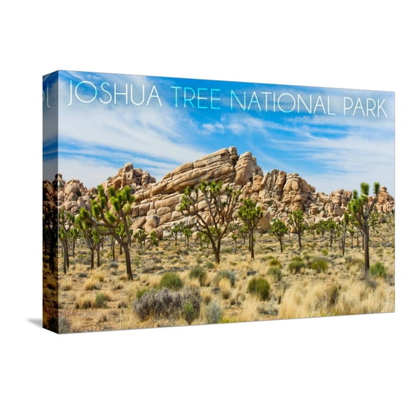 Art.com Joshua Tree National Park, California - Blue Sky and Rocks Stretched Canvas Print Wall Art by Lantern Press, 18" x 12"