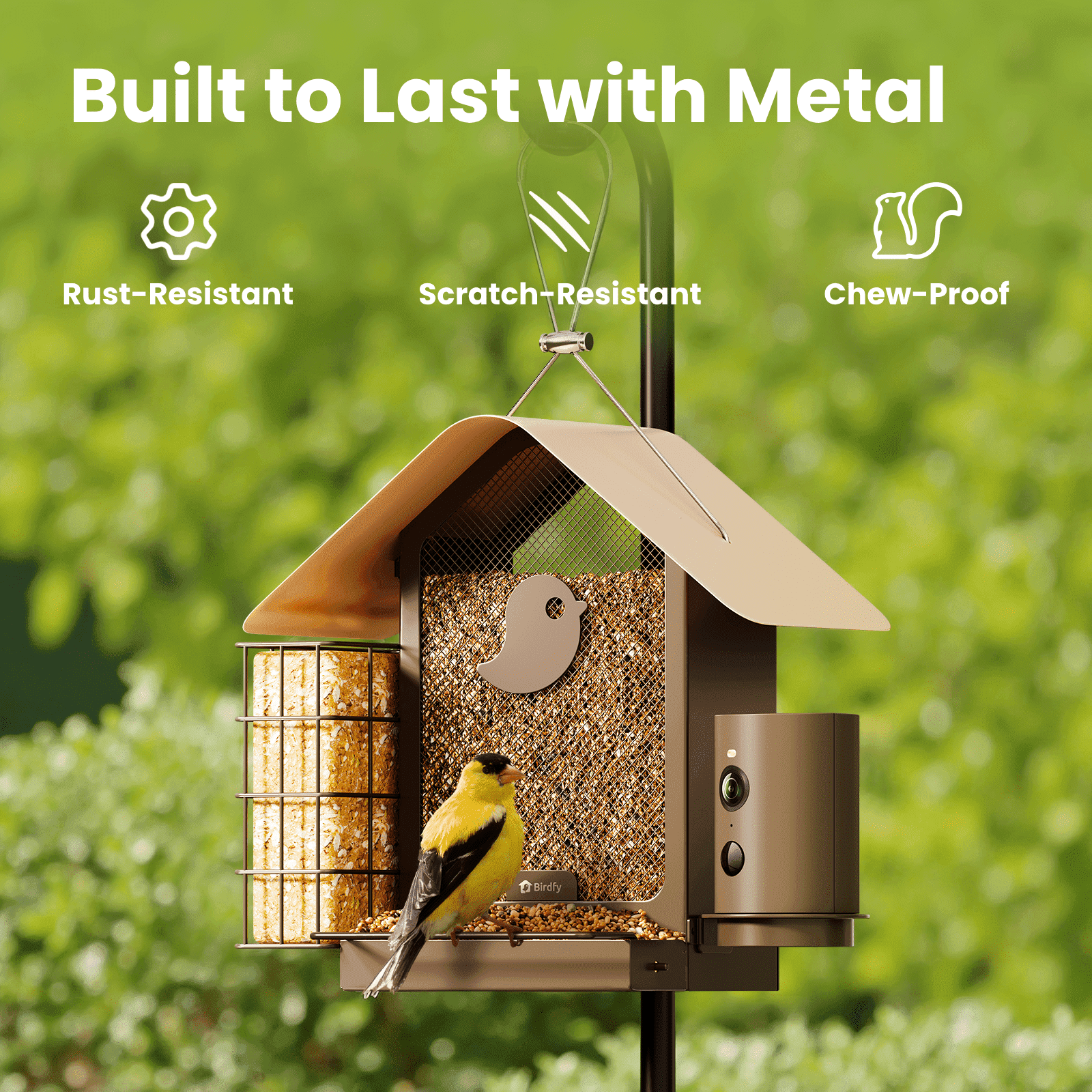 Birdfy Smart Bird Feeder with Camera, 1080P HD, 60FPS Video, AI Bird Identification, Night Vision, Cloud Storage, Suet Holder, Gift for Bird Lovers, Metal V