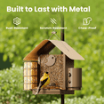 thumbnail image 4 of Birdfy Smart Bird Feeder with Camera, 1080P HD, 60FPS Video, AI Bird Identification, Night Vision, Cloud Storage, Suet Holder, Gift for Bird Lovers, Metal V, 4 of 12