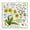Chamomile Herb Uses, variant on Stupell Industries Strawberry & Florals Uses Plants & Flowers Painting Black Floater Framed Canvas Art Print Wall Art, 18 x 18