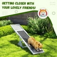 thumbnail image 5 of PawHut Wooden Dog Agility Seesaw for Training and Exercise, Platform Equipment Run Game Toy Weather Resistant Pet Supplies, White, 5 of 9