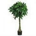 thumbnail image 2 of Nearly Natural 51in. Artificial Braided Money Tree, 2 of 4