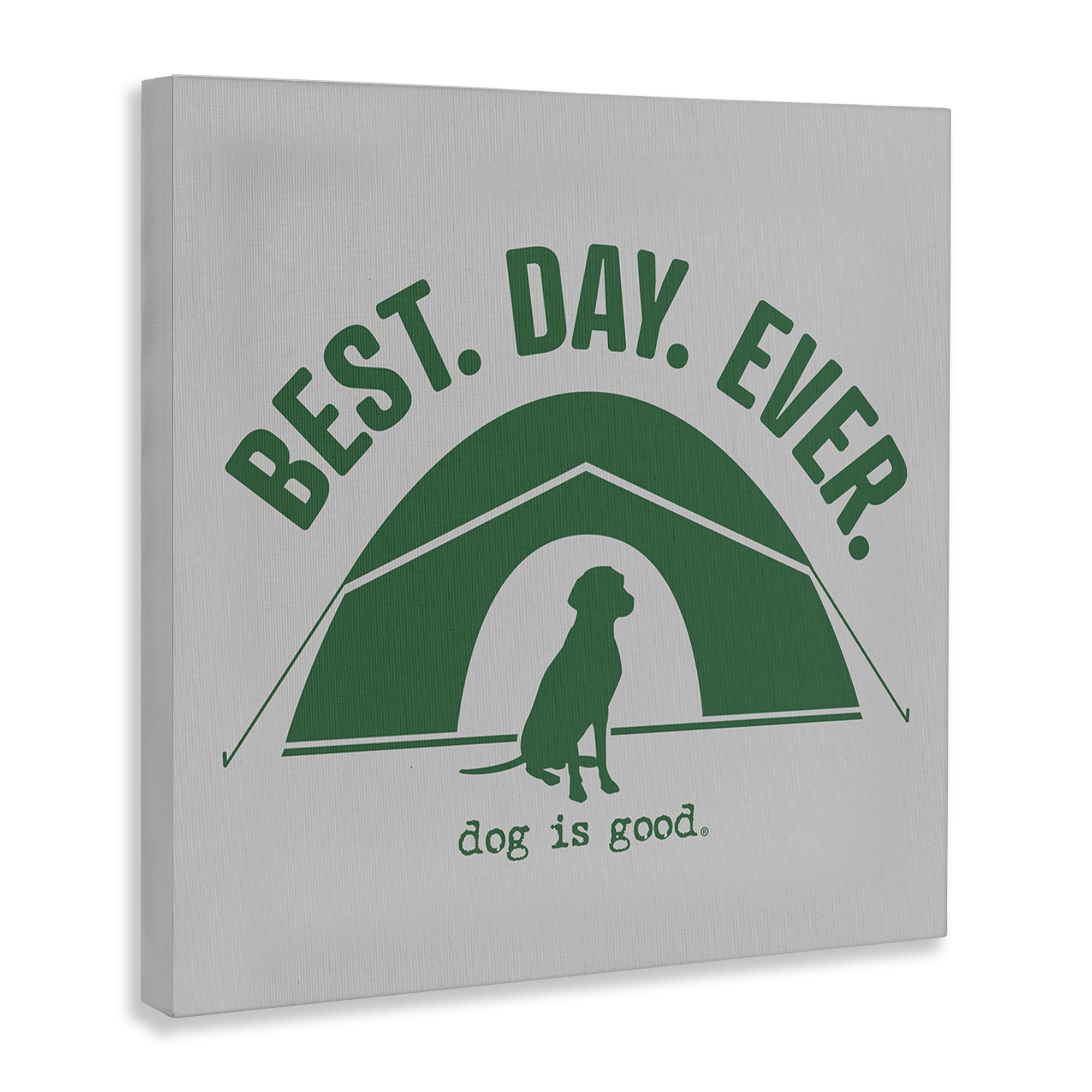 Stupell Industries Best Day Camping Dog Animals Painting Wrapped Canvas Art Print Wall Art, 17 x 17