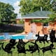 thumbnail image 3 of Moyic 6 uds gato negro silueta gato decorativo jardín estacas gato jardín estatuas jardín al aire libre estatuas animales estacas para decoración Decoración del hogar Moyic HA037382-00, 3 of 6
