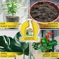 thumbnail image 3 of Harris Neem Oil Spray for Plants, Cold Pressed Ready to Use, 32oz, 3 of 4