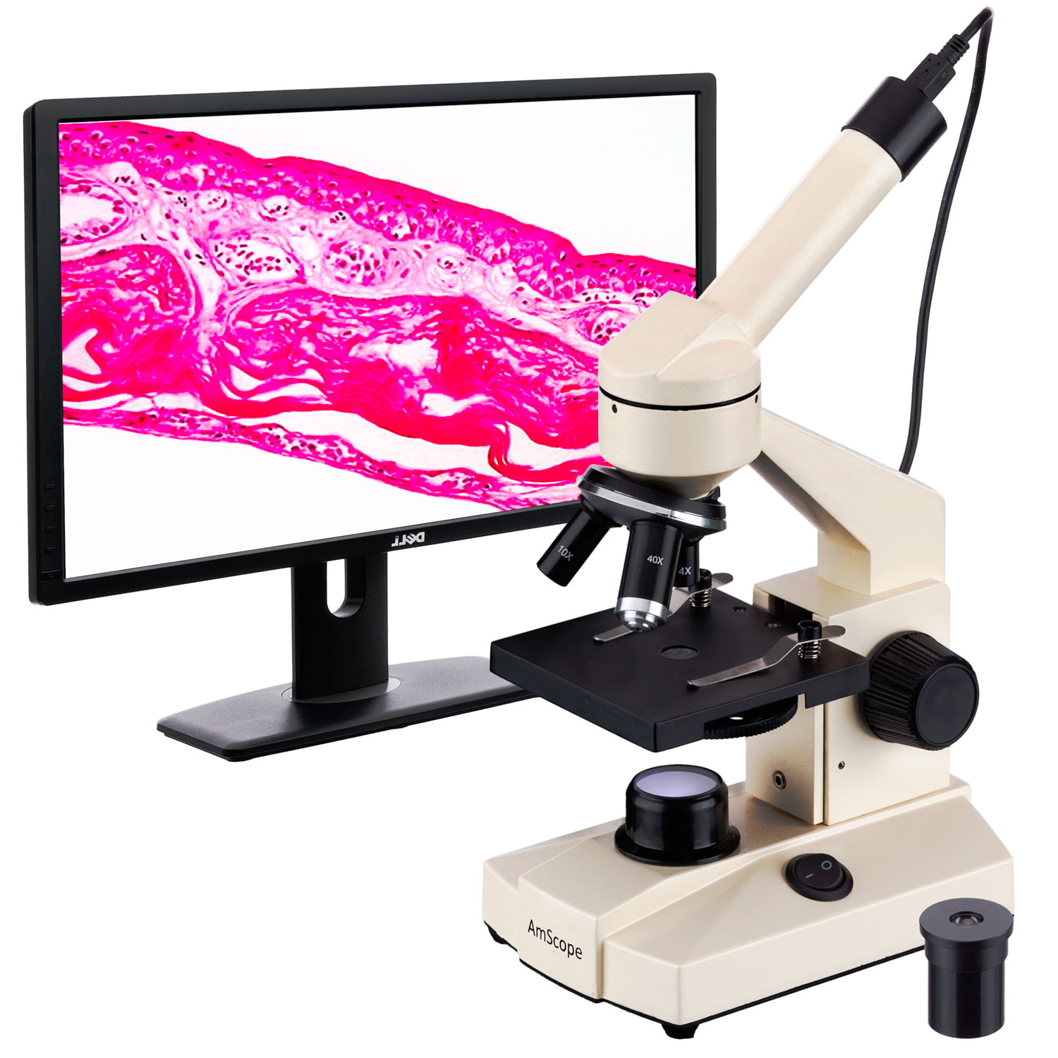 Camera AmScope M100C-LED-SP14-E 40X-1000X Student Biological Field Microscope with LED Lighting Slide Preparation Kit