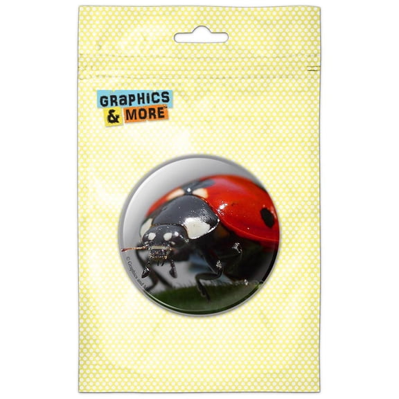 Ladybug Close-up Lady Bug Beetle Pinback Button Pin Badge