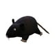 thumbnail image 5 of Muñeca de juguete Hugo Ratón de peluche Negro, 5 of 10