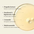 thumbnail image 4 of Tónico hidratante CNP con ceramida de miel, 150 ml, con extracto de propóleo, 4 of 7