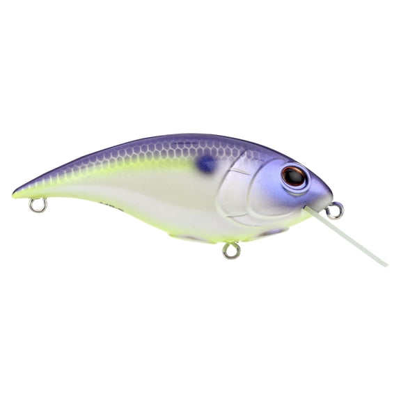Shallow Money Badger Fishing Crankbait, 2.75 in, Purple Glimmer