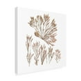 thumbnail image 2 of Wild Apple Portfolio 'Pacific Sea Mosses XXI White Sq' Canvas Art, 2 of 3