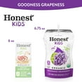thumbnail image 5 of Honest Kids Goodness Grapeness Pouches, 6.75 fl oz, 32 Pack, 5 of 9