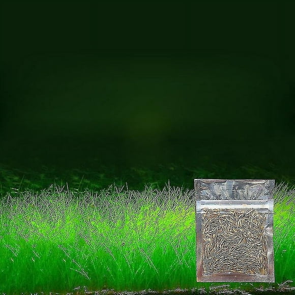 Aquarium Ornament Plant Seeds Fish Tank Landscape Decora Water Grass Seed Easy To Grow