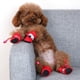 thumbnail image 3 of Botas de Perro Perros de Tamaño Medio, Zapatos de Perro de Invierno de Lana Caliente con Cinta Reflectante Y Cordón, Suelas Antideslizantes Perro Botas de Nieve para Perros Pequeños, Conjunto de 4, 3 of 6