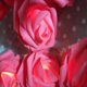 thumbnail image 1 of Xihbxyly Artículos En Liquidación Por Menos de 10 Dólares Hermoso Ramo de Rosas con Usb, Luces Led para Árbol, Decoración para Fiestas, Bodas, El Hogar, Regalo, 1 of 2