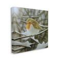 thumbnail image 3 of Stupell Industries Little Bird Perched Detailed Snow Covered Twigs Painting Gallery Wrapped Canvas Print Wall Art, Design by Alan Weston, 3 of 5