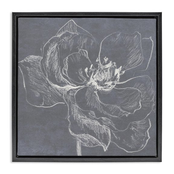 Stupell Industries Magnolia Doodle Outline Plants & Flowers Drawing Black Floater Framed Canvas Art Print Wall Art, 18 x 18
