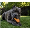 thumbnail image 6 of 10 Piece Filled Dog Chew Hooves Choose Bully Beef, Cheese Bacon or Peanut Butter (Bully Beef), 6 of 8