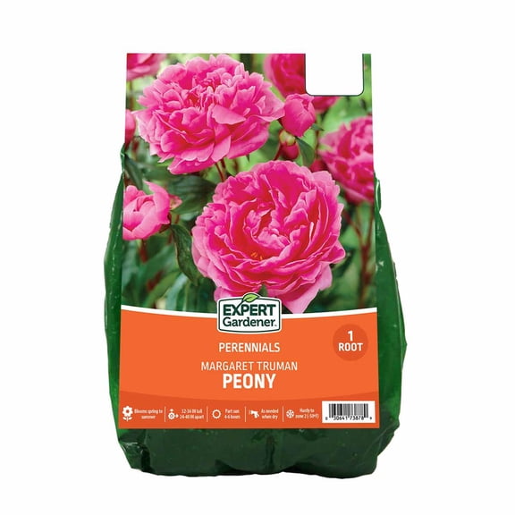 Expert Gardener Peony 'Margaret Truman' Dormant Bare Root Plant, Partial Sun, Pink, Perennial