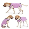 thumbnail image 4 of Dotoner Dog Recovery Suit Abdominal Wound Puppy Surgical Clothes Post-Operative Vest Pet After Surgery Wear Substitute E-Collar & Cone(XL,Pink), 4 of 7