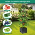 thumbnail image 6 of 1 Pack Raised Garden Bed Planter Box with Trellis, 58”Tomato Planter with Trellis for Climbing Plants Vegetables Vine Flowers, Self-Watering Tomato Cage for Garden Patio Outdoor & Indoor, 6 of 7