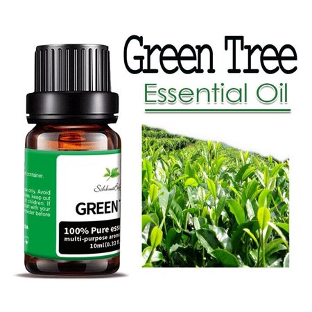 TASHHAR Essential Oils 2-Pack 100% Pure and Natural Fragrances Oil Therapeutic Grade Aromatherapy for Diffusers, Candle Making, Humidifiers - Green Tea (10mL)